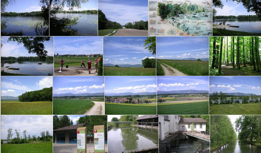 pfadiheim mittelland