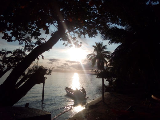 sonne boot meer strand bäume palmen insel blendend wasser himmel kostenlos bild foto