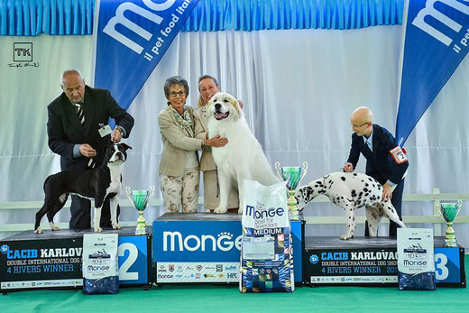 Echo de'Chien Escuda - Best in Show Junior in Karlovac IDS. Judge Lisbeth Mach, Switzerland