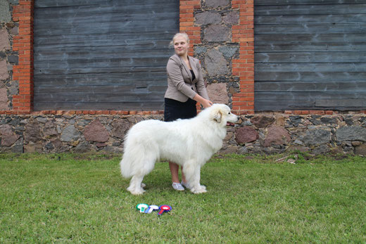 Echo de'Chien Grizzly Brently
