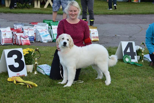 Echo de'Chien Esibelle - BOB Baby Puppy & BIS Baby Puppy #3