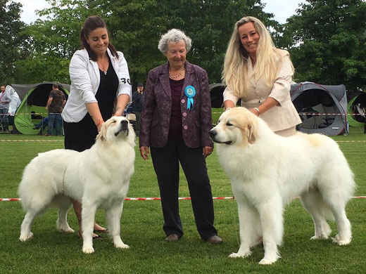 Echo de'Chien Esibelle & Echo de'Chien Escuda pour Garcon 