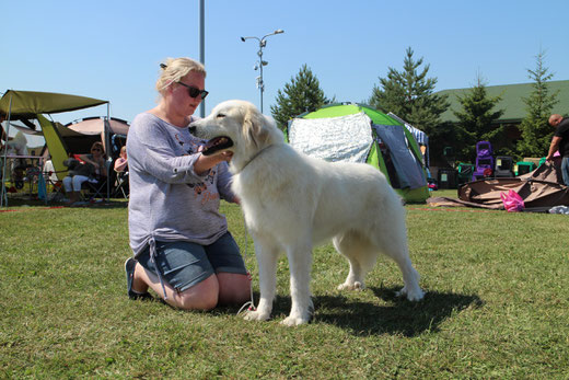 Echo de'Chien Elisabeth 