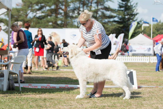 Liz 3 years old in Baltic Winner 2018