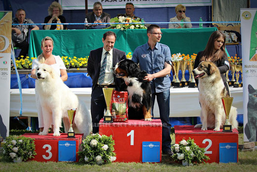 Echo de'Chien Escuda pour Garcon winning Best in Group 3rd