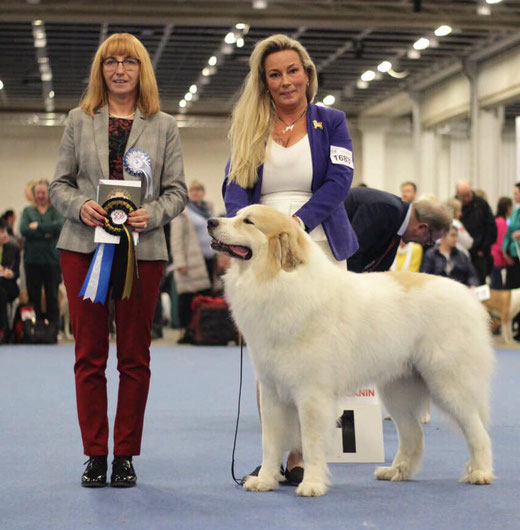 Echo de'Chien Escuda pour Garcon