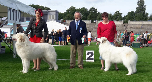 Echo de'Chien Conrad - BOB & Blaireau Noire Anor -  BOS