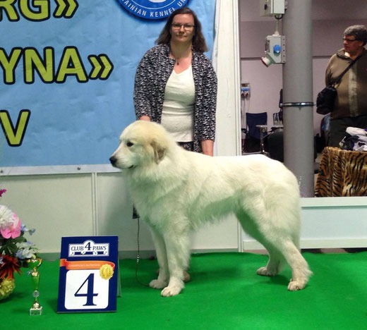 Echo de'Chien Conrad Group IV in Lviv, Ukraine . Handler and co-owner Kristin Kerem