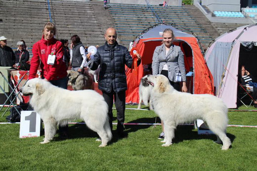 Iaslan & Echo de'Chien Conrad