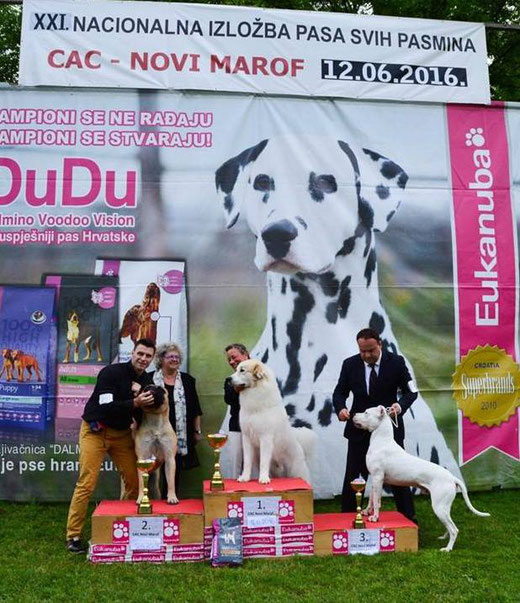 Echo de'Chien Escuda pour Garcon winning Best in Group #2