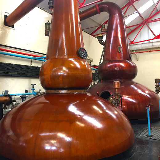Kupferne Brennblasen einer Whisky-Destillerie