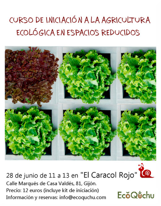 ¡¡Curso en Gijón!! Los temas a tratar serán: Plantificación del huerto, herramientas, qué cultivar, siembra, trasplante y cuidados. Habrá ejemplos prácticos.