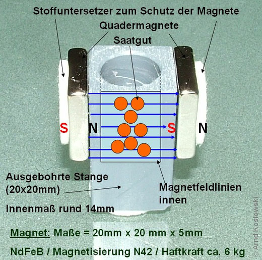Magnetkammer Samenversuche eckig