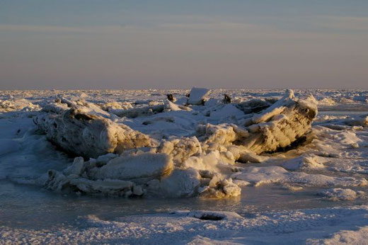 Die Mariann im Eis, Winter 2010/2011