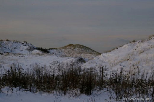 Winterliche Dünenlandschaft Heiligabend 2010 in Wenningstedt