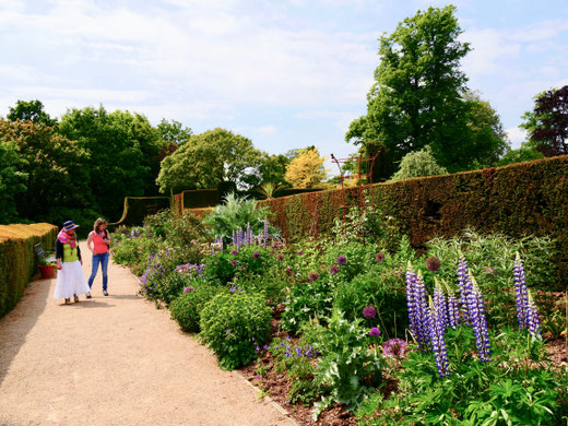 Sehenswürdigkeit englische Gärten Eibenhecken Hole Park Gardens