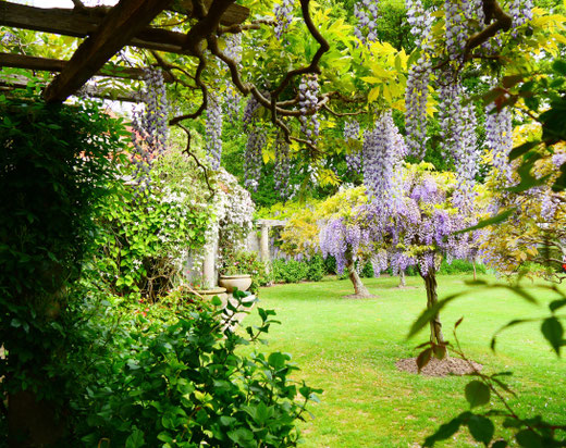 Gartenreise England Sehenswürdigkeiten Hole Park and Gardens