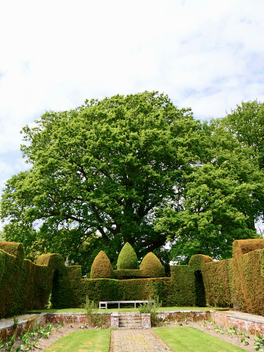 Sehenswürdigkeit englische Gärten Eibenhecken Hole Park Gardens
