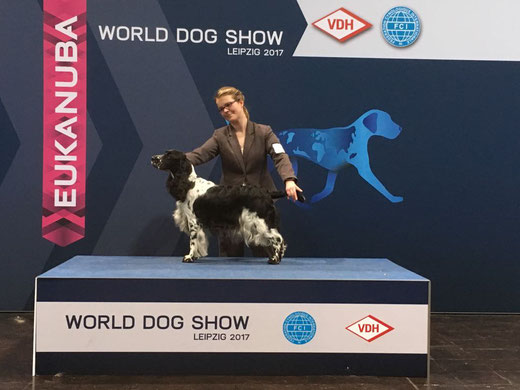 "Jolanthe vom Belauer See" successful at the World Dog Show 2017, Photo: S. Arendt