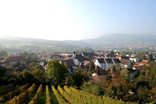 städtreisen schweiz