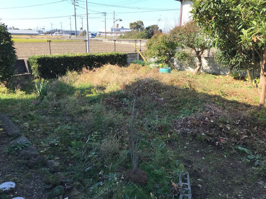 家庭菜園への道 初日①