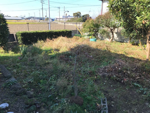 家庭菜園への道　初日①