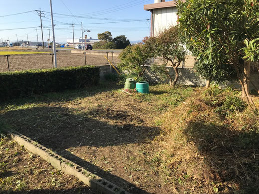 家庭菜園への道　初日②