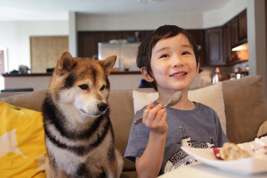 Maru in Michigan