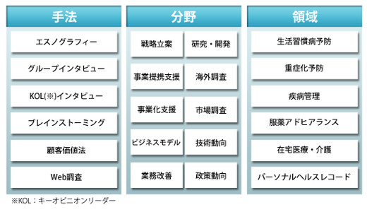 コンサルティング実施イメージ（手法・分野・領域）