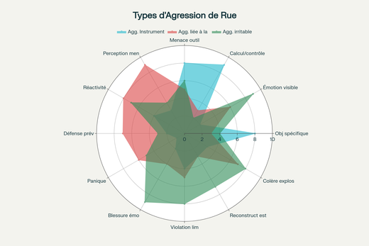 Profil des trois types d'agression de rue selon leurs caractéristiques comportementales et motivationnelles