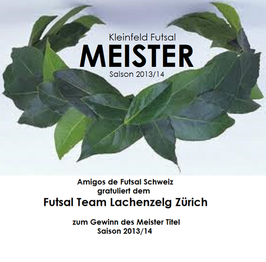 Amigos de Futsal Schweiz Meister 2013/2014