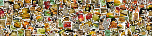Bäckerei Weißbachn Genusswelten - Foto: © Devant Design