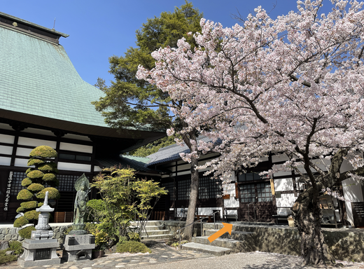 頭痛の駆け込み寺ののさまは正麟寺内にあります。
