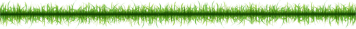 Gras Banner