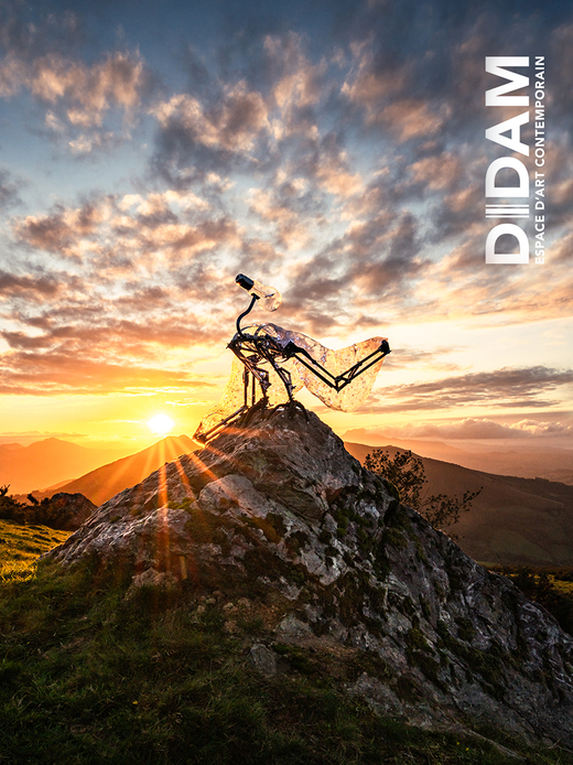 © Mathieu Prat - Photographe - Bayonne - Pays Basque