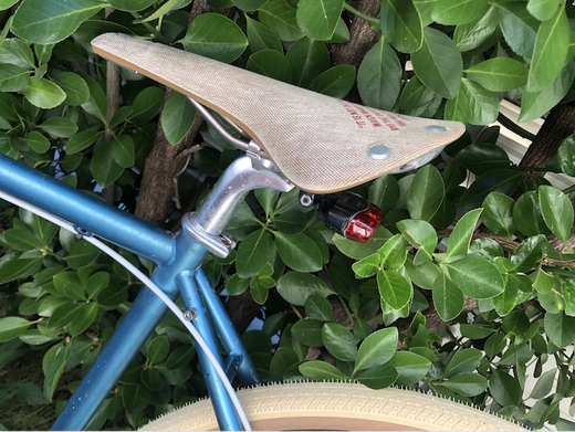 BROOKS サドル 限定テストサドル - サルコペニアのお話