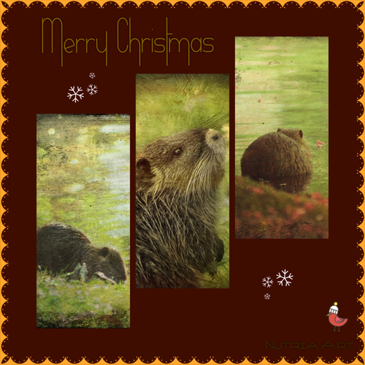 nutria weihnachtskarte