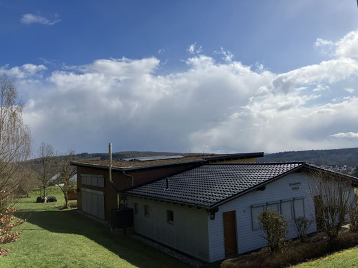 Die Photovoltaikanlagee mit 12 Modulen auf dem Gründach (Foto: D. Menke)