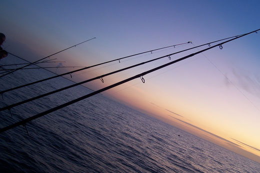 Ostsee Fischland Krimi Corinna Kastner Wustrow Darß Zingst Mecklenburg-Vorpommern Stralsund