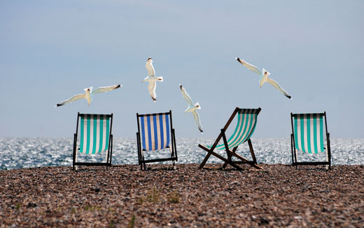 Vier Liegestühle am Strand über denen vier weiße Möwen kreisen