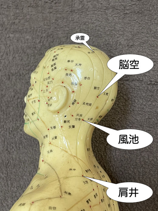 風池