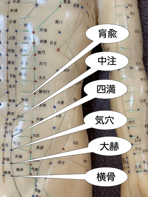 中注