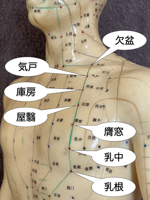 乳根