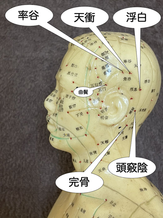 頭竅陰