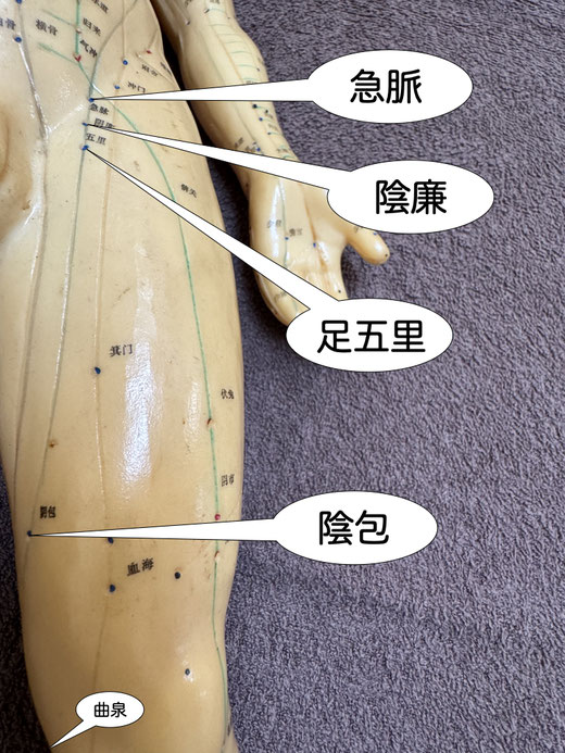 急脈