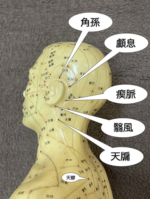 顱息