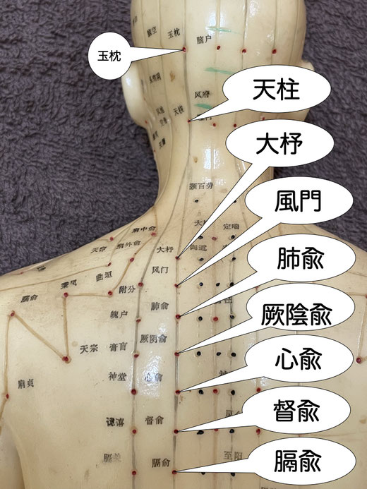 大杼