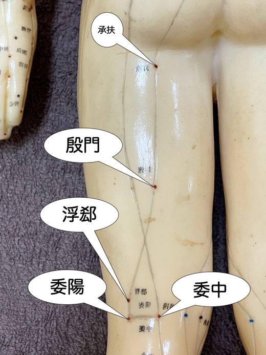 委陽