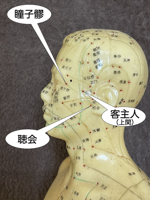 聴会