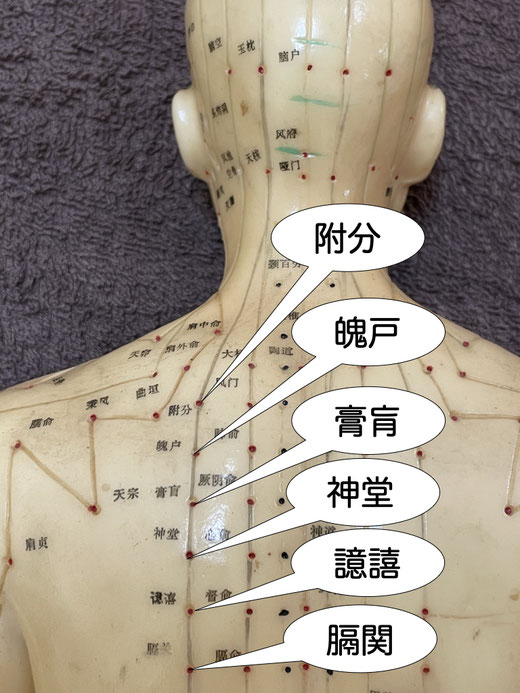 譩譆